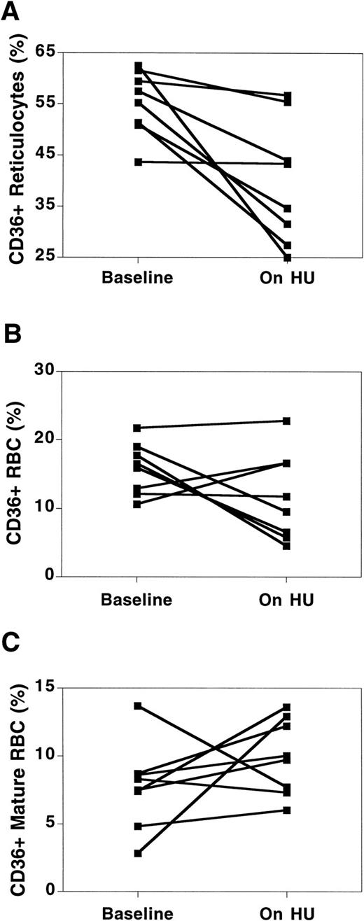 Fig. 4. Changes in CD36 receptor expression on sickle cell RBC before and while on HU therapy. Changes in CD36 expression are shown for the reticulocyte fraction (A), total RBC (B), and mature RBC (nonreticulocyte) fraction (C). Baseline = value at the time of the first measurement of adhesion receptor expression. On HU = value at the time of the last measurement of adhesion receptor expression while on HU therapy. Each paired data point represents one patient.