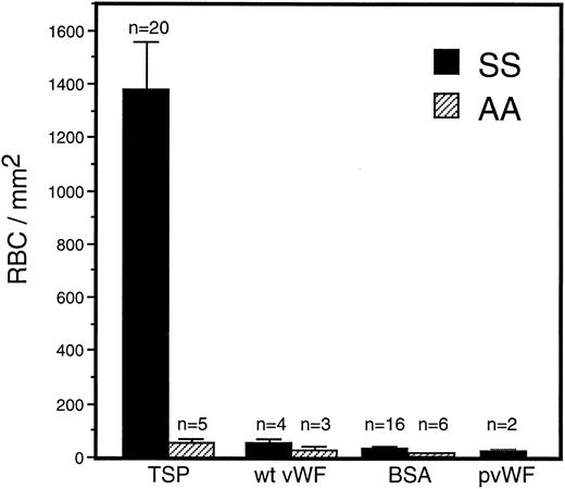 Fig. 1. Sickle and normal RBC adherence to immobilized TSP and vWF. Glass microscope slides, which form the base of the parallel plate flow chamber, were coated with either TSP (50 μg/mL) or vWF (20 or 100 μg/mL) and then blocked with 1% BSA for 60 minutes. A washed suspension of RBC (1% Hct in serum free medium) was perfused over the immobilized proteins for 10 minutes, followed by a 10-minute rinse with cell free medium at a shear stress of 1 dyne/cm2. Results demonstrate that sickle RBC adhered preferentially to immobilized TSP in comparison to vWF and BSA (nonspecific control). Similar levels of sickle RBC adhesion were observed for recombinant vWF (wt vWF ) and plasma-derived vWF (pvWF ) at coating concentrations of 20 μg/mL and 100 μg/mL. Data are shown for wt vWF at 20 μg/mL and for pvWF at 100 μg/mL. Error bars are standard error of mean (SEM).