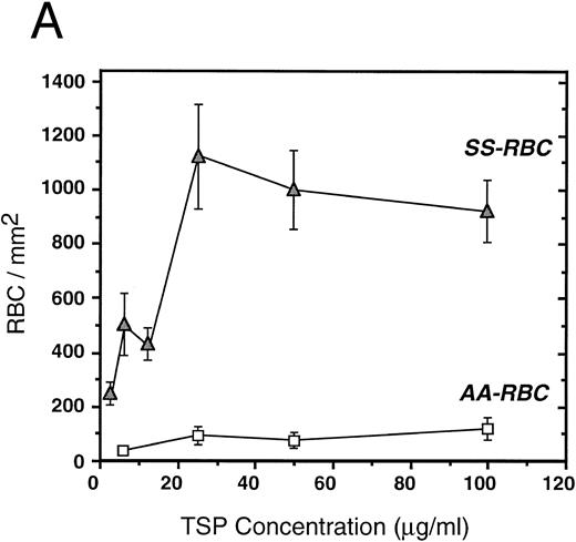 Fig. 2. Sickle and normal RBC adherence to immobilized TSP. (A) Glass slides were coated with varying concentrations of TSP (2.5 to 100 μg/mL) and adhesion of normal and sickle RBC assessed under flow conditions as described in Fig 1. Error bars are standard deviation (SD) of 10 randomly chosen microscopic fields from one representative experiment. (B) Slides were coated with TSP (50 μg/mL) or BSA as described in Materials and Methods. In some experiments, the slides were additionally treated with EDTA (5 mmol/L) or a 1:2 dilution of a rabbit polyclonal anti-TSP antiserum (R1)34 before RBC perfusion. Error bars are SEM.