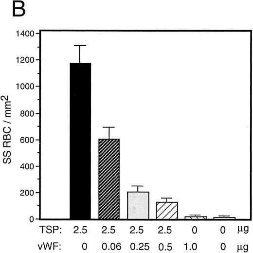 Fig. 3. Sickle RBC adhesion to mixtures of TSP and vWF. TSP and vWF were combined in solution at various ratios and coated onto glass microscope slides. Sickle RBC adhesion was assessed as in Fig 1. In combination with a fixed concentration of TSP (50 μg/mL), vWF exerted a concentration-dependent inhibitory effect. The effects of both recombinant and plasma vWF are shown in (A) and (B), respectively. Indicated weights represent total amounts of protein present in the mixture. Error bars are SEM.