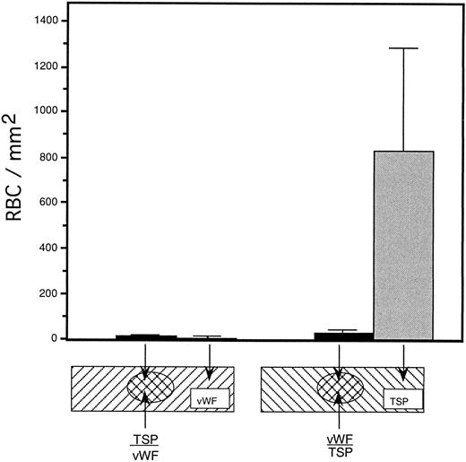 Fig. 5. Sickle RBC adhesion to slides sequentially coated with TSP and vWF. TSP and vWF were sequentially coated onto glass microscope slides (as depicted). A washed suspension of RBC (1% hematocrit in serum-free medium) was perfused into the flow chamber for 10 minutes, followed by a 10-minute rinse with cell-free medium at a shear stress of 1 dyne/cm2. The number of adherent RBC remaining at the end of the rinse period was determined using video microscopy. vWF-induced inhibition of sickle RBC binding to TSP was observed irrespective of the order of protein application to the slide.