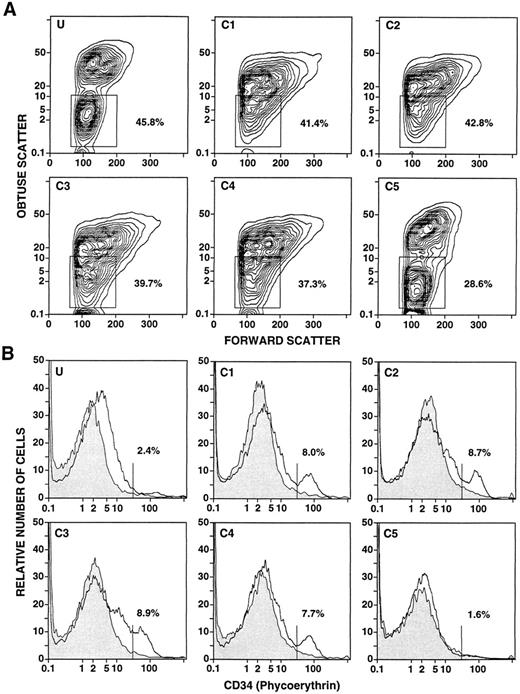 Fig. 2. Flow cytometric analysis of unfractionated and density fractionated cells from a day 4 leukapheresis sample from a normal donor given daily G-CSF injections. Panels U and C1-C5 in (A) show the obtuse versus forward light scatter profiles of unfractionated (U) and density fractionated cells (C1-C5). Boxes enclose the “mononuclear/lymphocyte” gate, and the percentages of cells enclosed in the boxes are shown. Panels U and C1-C5 in (B) show the one-color analysis of immunofluorescent staining with PE-conjugated anti-CD34 monoclonal antibodies (open area) compared with background control staining (shaded area). The vertical lines show the staining threshold established from C1, and the percentages of cells staining with anti-CD34 antibodies above the threshold are shown.