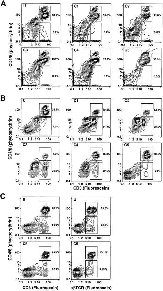 Fig. 3. Two-color analysis of immunofluorescent staining of T cells in the unfractionated and density fractionated cells from three different donors (A, B, and C). Cells were stained with PE-conjugated anti-CD4 and anti-CD8 monoclonal antibodies, and counterstained with FITC-conjugated anti-CD3 or anti-TCRαβ MoAbs. The upper boxes in (A) and (B) enclose CD4+CD3+ and CD8+CD3+ T cells. The lower boxes enclose CD4−CD8−CD3+ T cells. In (C), the staining with anti-CD3 antibodies was compared to that with anti-TCRαβ antibodies for unfractionated cells and cells in fraction C5.