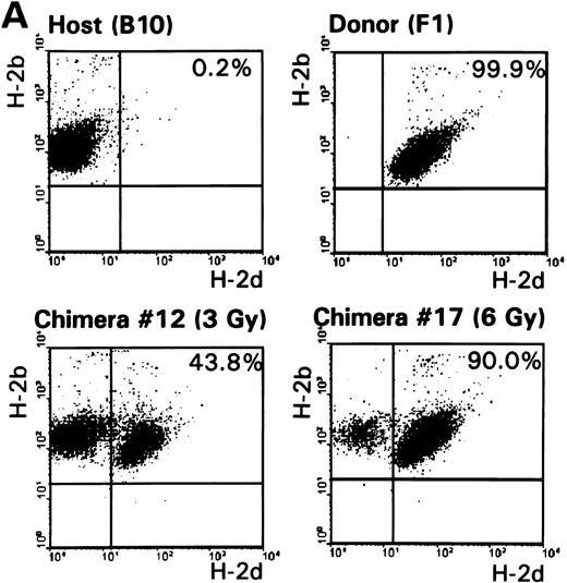 Fig. 2. (A) The percentages of host-type (H-2b pos/d neg) and donor-type (H-2b pos/d pos) cells were determined by FACS analysis 9 months after conditioning in lymph node cells of control B10 and (B10 × B10.D2)F1 animals and representative F1 → B10 chimeras (no. 12 and no. 17, Table 1). (B) Analysis of donor-derived (H-2dpos) lymphoid (T and B cells) and myeloid (granulocytes and macrophages) lineages in lymph node cells of a representative chimera (no. 12).