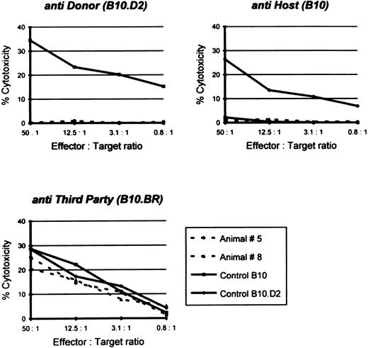 Fig. 4. Specific CTL lysis of 51Cr-labeled host, donor, and third party targets by splenocytes from B10, B10.D2, and two representative chimeras: animal no. 5 transfused with a combination of syngeneic and allogeneic bone marrow cells (68.7% donor-type splenocytes; see also Fig 1) and animal no. 8 transfused with only allogeneic bone marrow cells (95.1% donor-type splenocytes). CTL response was examined 8 months after conditioning. Spontaneous release was less than 25%.