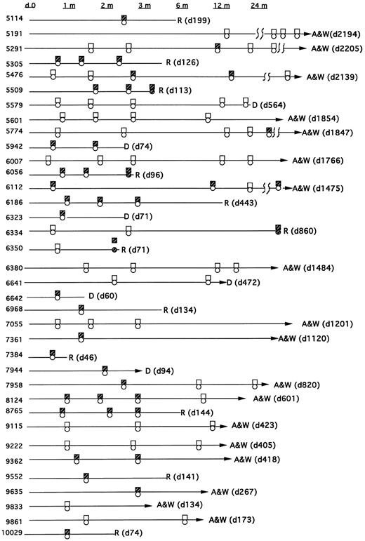 Fig. 1. Time course of patients post-BMT showing PCR, cytogenetics, and pathology results for detection of bcr-abl, the Philadelphia chromosome, or morphological relapse. The boxes reflect the PCR assay (open = −; closed = +). The circles reflect cytogenetic or hematologic relapse (open = remission; closed = relapse).