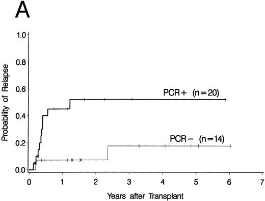 Fig. 2. Upper curves (A) show the cumulative incidence of relapse by the presence or absence of bcr-abl detected by PCR before day 100 post-BMT. Lower curves (B) show the cumulative incidence of relapse by the type of bcr-abl transcript found after transplant. Ticks indicate patients alive without relapse and “×” marks denote patients who died without relapse.