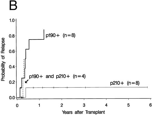 Fig. 2. Upper curves (A) show the cumulative incidence of relapse by the presence or absence of bcr-abl detected by PCR before day 100 post-BMT. Lower curves (B) show the cumulative incidence of relapse by the type of bcr-abl transcript found after transplant. Ticks indicate patients alive without relapse and “×” marks denote patients who died without relapse.