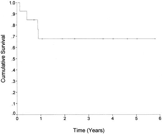 Fig. 1. Event-free survival of 13 patients transplanted with MM.