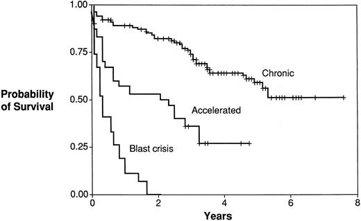 Fig. 1. Autologous transplantation for CML. Survival by disease stage. Survival for patients receiving autologous transplantation. Chronio phase (Chronic; n = 141); accelerated phase (Accelerated; n = 30); blast crisis (BC; n = 27).