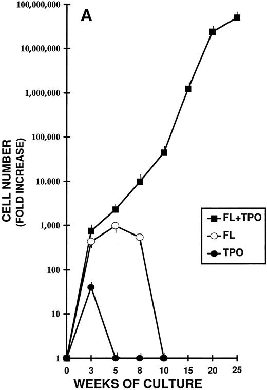 Fig. 2. Different stages of hematopoiesis in stroma-free LTC of CB CD34+ cells. (A) Expansion of hematopoietic cells in stroma-free cultures stimulated by TPO (10 U/mL) alone (•), by FL (50 ng/mL) alone (○), and by the combination of TPO (10 U/mL) + FL (50 ng/mL) (▪). The starting population was represented by 2 × 103 CD34+ CB cells in 1 mL in 24-well plates. Fresh growth factors were added twice a week. Cells were counted weekly from quadruplicate wells and the fold increase was obtained by dividing the number of cells of each well counted each week by the number of the starting population. Represented here is the mean ± SEM of four different experiments (each performed in quadruplicate). (B) Expansion of the CD34+ (▪) and the CD34+ CD38− (•) cell populations during LTC with FL + TPO. CB CD34+ cells were grown as described in Fig 1 for 25 weeks. Every 2 to 3 weeks the cells harvested were stained with FITC- and PE-conjugated anti-CD34 and anti-CD38 MoAb. The total number of each subpopulation was obtained by multiplying the percentage of each subset by the number of cells contained in each well. Results are expressed as the fold increase (compared with the starting subpopulation) and represent the mean ± SEM of analyses performed on quadruplicate wells in four separate experiments. (□) CD34+ cells in LTC grown in the presence of FL alone. (○) CD34+ cells in LTC grown in the presence of TPO alone. (C) Production of hematopoietic progenitors in LTC in the presence of FL + TPO. CD34+ CB cells were grown for 25 weeks as described in Fig 1. CFU-GM (▪), CFU-MK (○), BFU-E (•), and CFU-GEMM (□) were cultured as described in Fig 1. Results represent the fold increase of each class of progenitors present in each well in determined periods of LTC, compared with the number of progenitors of the beginning of the cultures. Mean ± SEM of four wells per point in four separate experiments.