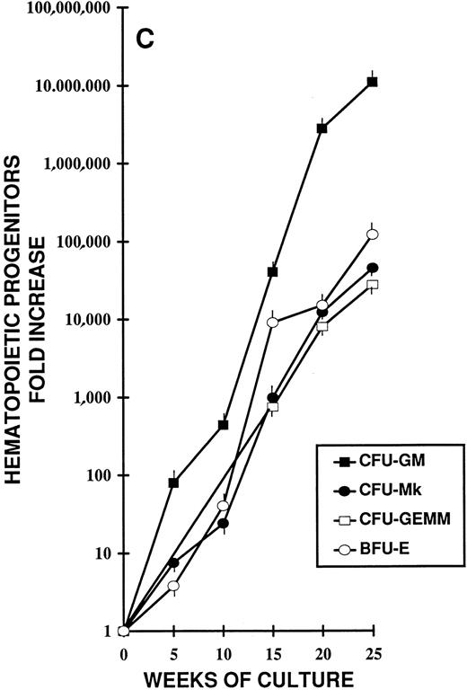 Fig. 2. Different stages of hematopoiesis in stroma-free LTC of CB CD34+ cells. (A) Expansion of hematopoietic cells in stroma-free cultures stimulated by TPO (10 U/mL) alone (•), by FL (50 ng/mL) alone (○), and by the combination of TPO (10 U/mL) + FL (50 ng/mL) (▪). The starting population was represented by 2 × 103 CD34+ CB cells in 1 mL in 24-well plates. Fresh growth factors were added twice a week. Cells were counted weekly from quadruplicate wells and the fold increase was obtained by dividing the number of cells of each well counted each week by the number of the starting population. Represented here is the mean ± SEM of four different experiments (each performed in quadruplicate). (B) Expansion of the CD34+ (▪) and the CD34+ CD38− (•) cell populations during LTC with FL + TPO. CB CD34+ cells were grown as described in Fig 1 for 25 weeks. Every 2 to 3 weeks the cells harvested were stained with FITC- and PE-conjugated anti-CD34 and anti-CD38 MoAb. The total number of each subpopulation was obtained by multiplying the percentage of each subset by the number of cells contained in each well. Results are expressed as the fold increase (compared with the starting subpopulation) and represent the mean ± SEM of analyses performed on quadruplicate wells in four separate experiments. (□) CD34+ cells in LTC grown in the presence of FL alone. (○) CD34+ cells in LTC grown in the presence of TPO alone. (C) Production of hematopoietic progenitors in LTC in the presence of FL + TPO. CD34+ CB cells were grown for 25 weeks as described in Fig 1. CFU-GM (▪), CFU-MK (○), BFU-E (•), and CFU-GEMM (□) were cultured as described in Fig 1. Results represent the fold increase of each class of progenitors present in each well in determined periods of LTC, compared with the number of progenitors of the beginning of the cultures. Mean ± SEM of four wells per point in four separate experiments.