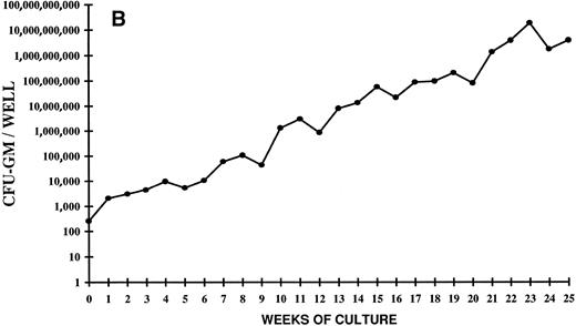 Fig. 3. Time course of CFU-GM expansion from CD34+ CB cells. Two thousand CD34+ cells were plated on day 0 in duplicate in 24 wells in the presence of FL + TPO. Every week the content of CFU-GM per well was determined. The vertical axis represents the CFU-GM expansion during 25 weeks of LTC. Two independent experiments of four are shown.