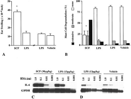 Fig. 3. Induction of ear swelling (A), mast cell activation (B), and IL-6 mRNA expression (C and D) by ID injection of rrSCF (30 μg/kg/site), LPS (13 pg/kg/site), or vehicle alone in the ear skin of C57BL/6 mice (n = 5 to 10 per treatment group). (A) Ear swelling measured 2 hours after injection of rrSCF into the left ears or LPS alone (in the same amount as was present in the rrSCF solution) into the right ears or 2 hours after injection of LPS into the left ears and vehicle alone into the right ears. *P ≤ .001 versus values for LPS-injected or vehicle-injected ears. (B) Extent of mast cell activation in the rrSCF-, LPS-, or vehicle-injected ear skin. *P < .0001 versus LPS- or vehicle-injected ears. The differences between values for LPS- or vehicle-injected ears (in A or B) are not statistically significant (P < .1).
