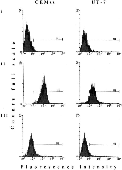 Fig. 1. HIV-1 gp120 competition assay. Both CEMss and UT-7 cells were labeled with (I) PE-conjugated unspecific mouse IgG; (II) Leu3A anti-CD4 MoAb; and (III) Leu3A MoAb after pretreatment with saturating amounts of HIV-1 recombinant gp120 protein. M1, marker 1.