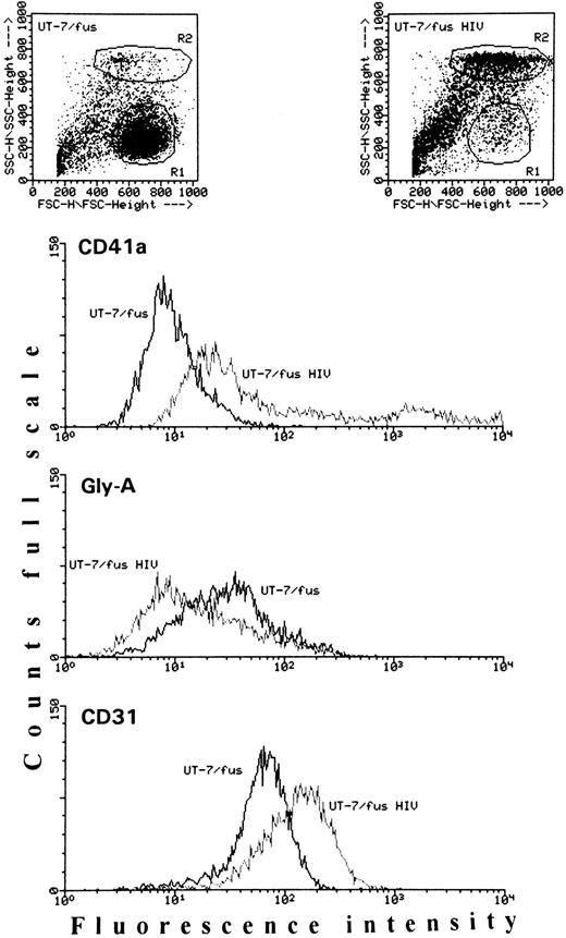 Fig. 7. Antigenic analysis of uninfected or HIV-1–infected UT-7/fus cells. Cells were analyzed for the presence of CD41a, glycophorin A, and CD31 antigens. In each panel, slopes from uninfected and HIV-1–infected UT-7/fus cells are compared. The mean fluorescence intensity of both uninfected and HIV-1–infected UT-7/fus cells labeled with unspecific mouse IgG was always less than 5. In addition, on the top, the dot plots of each cell population are shown. The uninfected and HIV-1–infected UT-7/fus cell populations analyzed are, respectively, included in R1 and R2 areas.