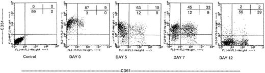 Fig. 4. Proliferation and differentiation of purified CD34+ cells cultured in the presence of MIP-1α, IL-3, IL-6, IL-11, FL, SCF, and MGDF was evaluated by means of two-color staining with PE-labeled anti-CD34 (vertical axis) and FITC-labeled anti-CD61 (horizontal axis) antibodies. The first panel represents a control obtained with irrelevant antibodies, and the percentage of positive cells per each quadrant is indicated. The flow cytometry analysis shows the presence of a small subset of CD34+ cells that are also CD61+ among cells seeded on day 0. The number of CD34+/CD61+ cells increased on day 5, and expansion peaked on day 7. Cells expressing the CD34+ phenotype were still present during the first week of culture. Conversely, on day 12 most of the CD34+ cells were already differentiated, and 39% of the cells acquired the CD34−/CD61+ phenotype. The results of one representative experiment of five are shown.
