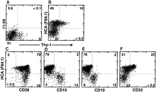 Fig. 4. huHCA expression by subsets of CD34+ ABM cells. ABM was stained as described with MoAbs against CD34, Thy-1, rat KG-CAM (11-59; A), huHCA (F84.1; B), and isotype controls. FACS analyses of gated CD34+ populations are shown. MoAb 11-59 does not recognize human BM cells (A), whereas MoAb F84.1 binds a subset of CD34+ cells. Virtually all CD34+ Thy-1+ cells express huHCA (B). Alternatively, ABM cells were stained as described with MoAbs against CD34, huHCA, and, simultaneously, CD38 (C), CD10 (D), CD19 (E), and CD33 (F ). FACS analyses of gated CD34+ populations are shown. See text for details.