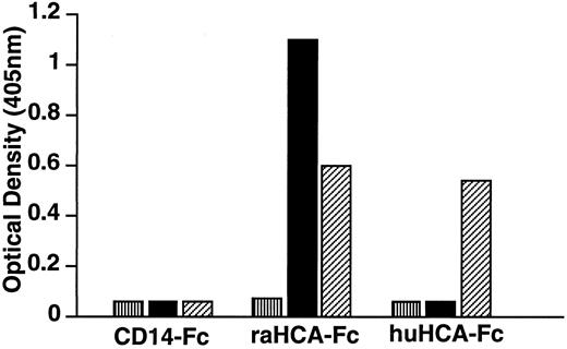 Fig. 8. Immunochemical characterization of huHCA-Fc and raHCA-Fc fusion proteins. CD14-Fc, raHCA-Fc, and huHCA-Fc fusion proteins were purified as described and coated onto an ELISA plate at 10 μg/mL. Samples containing MoAbs (▪) 11-59, (▨) F84.1, or (▥) relevant controls (10 μg/mL IgG1) were added, followed by alkaline phosphatase conjugated with antimouse Ig for 1 hour. p-nitophenylphosphate was used to develop the ELISA and results were read at 405 nm using an ELISA reader.