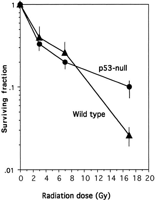 Fig. 2. IL-3 radioprotection in the absence of p53. The plating efficiency of wild-type or p53-null cells was measured after X-irradiation at the indicated dose as described in the Materials and Methods. In the absence of radiation, the plating efficiency of the wild-type cells was 9.5% and that of the p53-null cells was 12.5%.