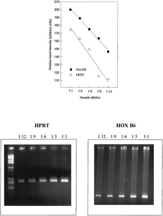 Fig. 1. Standardization of RT-PCR for semiquantitation. Shown here are samples for the internal standard HPRT and HOX B6. The intensity of the ethidium bromide-stained agarose gels (lower panel) is given as relative units versus sample dilution (upper panel).