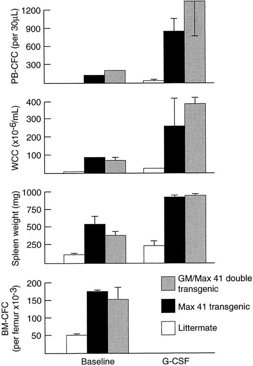 Fig. 3. In vivo responses induced by G-CSF at 200 μg/kg/d for 5 days in GM-CSF/Max41 double transgenic mice (n = 3), Max41 transgenic mice (n = 6), and their wild-type littermate controls (n = 6). Progenitor cell cultures were stimulated with SCM. Mean results are presented and error bars represent SD.
