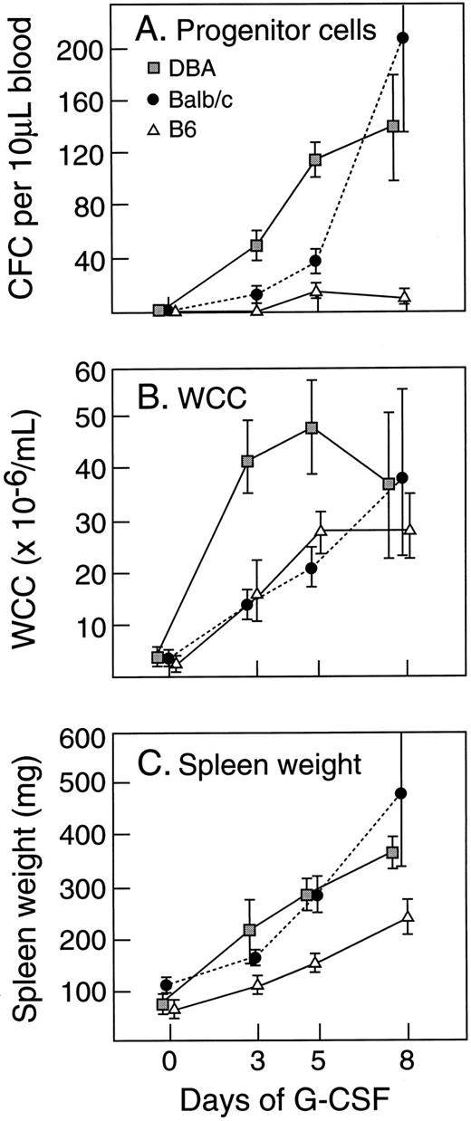Fig. 6. Time course of G-CSF (200 μg/kg/d for 5 days) -induced responses in different strains of mice. Progenitor cell cultures were stimulated with SCM. Mean results of four mice per group. Error bars represent SD.