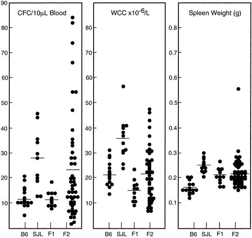 Fig. 8. In vivo responses to G-CSF at 200 μg/kg/d for 5 days in the parental strains and progeny of an intercross between C57BL/6 and SJL mice. Results for individual mice are presented and the mean for each group is indicated by a straight line.