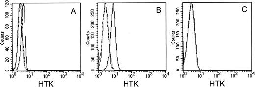 Fig. 2. FACS analysis of HTK expression on cell lines with MoAb, 38-1E, against the extracellular domain of HTK. (A) UT-7 cells, (B) BaF3/HTK cells, and (C) BaF3/vector cells. The cells were stained with biotinylated 38-1E (solid lines) or biotinylated 38-1E that had been incubated with a 50-fold excess molar of HTKex-Fc (broken lines), followed by FITC-conjugated streptavidin. The dotted line indicates negative controls stained with FITC-conjugated streptavidin only.