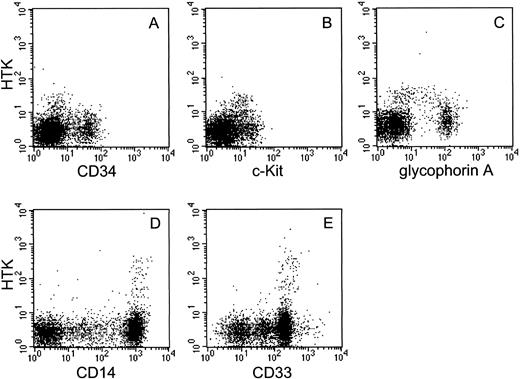 Fig. 4. Two-color analysis of human bone marrow and human peripheral blood cells. Human bone marrow mononuclear cells were stained with biotinylated anti-HTK MoAb, 38-1E, and (A) anti-CD34, (B) anti-c-Kit, or (C) anti-glycophorin A. Peripheral blood cells were also stained with 38-1E and (D) anti-CD14 or (E) anti-CD33.