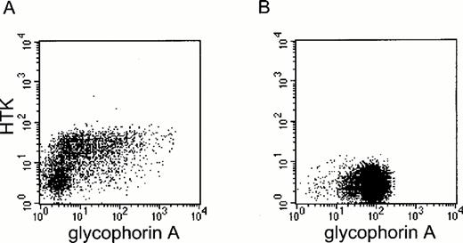 Fig. 7. Expression of HTK on cultured erythroid cells. Purified immature BFU-E from human peripheral blood were cultured. The expression of HTK and glycophorin A on cultured cells was analyzed by FACS on (A) day 6 and (B) day 14. The morphology of cultured cells was also examined on (C) day 6 and (D) day 14 (May-Grünwald-Giemsa staining, original magnification × 400).