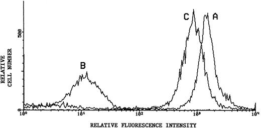 Fig. 4. Flow cytometric analysis of sialic acid-dependent epitope of CD43. Representative results using monoclonal L60 as primary antibody in indirect immunofluorescence of KG1a: Untreated KG1a (histogram curve A); KG1a immediately after neuraminidase treatment (histogram curve B); and KG1a 24 hours after neuraminidase treatment, cultured in the presence of 10 mmol/L sodium chlorate (histogram curve C). Secondary antibody was PE-conjugated. Recovery of sialated surface CD43 is evident despite inhibition of sulfation.