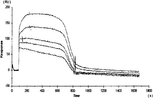 Fig. 2. Binding of rhTPO to recombinant c-Mpl (gD-Mpl). rhTPO was immobilized to a BiaCore sensor chip via a c-terminal carbohydrate group. The subsequent binding and dissociation of five different concentrations (500, 100, 50, 10, and 5 nmol/L) of gD-Mpl to the rhTPO was measured (represented by the 5 data curves). Binding constants were obtained from the slope of the plots versus time data using the BiaCore TM kinetics evaluation software.