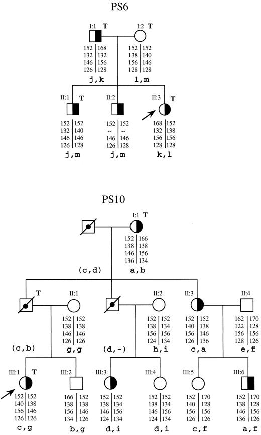 Fig. 2. Segregation patterns in families PS6 and PS10 of four microsatellites closely linked to the C4BPB and C4BPA genes, indicating no linkage between these genes and type III PS deficiency. (╞, ◑) Heterozygosis for type III PS deficiency; (, ) not tested; (□, ○) deceased; (↗) propositus; T, thrombotic disease. The genotype of each individual for these microsatellites is indicated below each symbol as basepair fragments for the RCA5, C4BPB, RCA8, and REN alleles, from top to bottom, respectively. The corresponding haplotype, in lowercase letters, is indicated below. Haplotypes between parentheses are the inferred ones.
