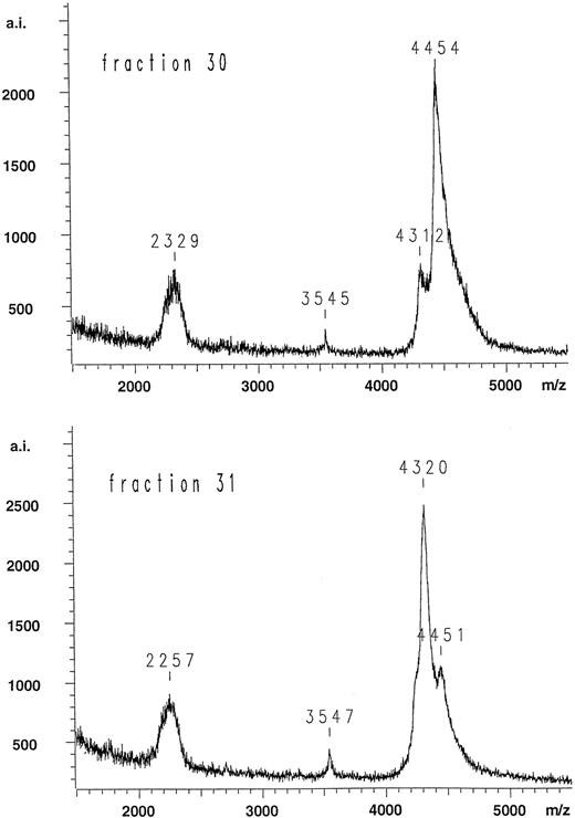 Fig. 4. Mass spectra of fractions 30 and 31 obtained after digestion of the patient sample protein C light chain with endoproteinase Asp-N (see Fig 3). The explanation of the values around m/z = 4,400 are discussed in the text. The peaks m/z = 2,329 and 2,257 are most likely the doubly charged species. There is no obvious explanation of the peaks with m/z = 3,545 and 3,547. m/z denotes ratio between mass of the molecular ion and charge, whereas a.i. denotes number of accumulated ions.