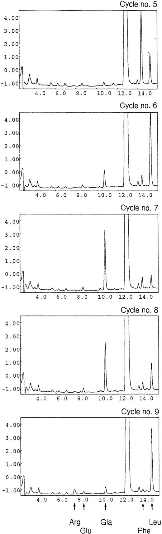 Fig. 5. RP-HPLC chromatograms showing an example of the identification of methylesters of PTH-Glu and PTH-Gla in the N-terminal Gla domain fragments of protein C originating from the patient (fraction 30 in Fig 3). The fragments were subjected to N-terminal sequence analysis after methylation. This enabled the specific detection of Gla and Glu residues and subsequent estimation of the relative amounts of the two residues at potential γ-carboxylation sites (see Table 4). Results from cycles 5 to 9 are shown. Two parallel sequences were identified corresponding to residues 5 to 9 (Leu-Gla-Gla-Leu-Arg) and residues 4 to 8 (Phe-Leu-Gla-Gla-Leu) of the normal and the His extended variant of protein C, respectively. Arrows at the bottom of the figure show the position of the identified residues. X-axis values are minutes and y-axis values are milli absorbance units at 269 nm.