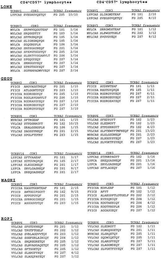 Fig. 3. Junctional amino acid of TCRBV sequences, obtained from CD4+CD57+ and CD4−CD57+ subpopulations prepared from the RA patients LOME, GEGU, MAGHI, and ROPI were deduced from nucleotide sequences and displayed as standard one-letter code. Only the last 3′ amino acids of the TCRBV segments and the first 5′ amino acids of TCRBJ chains are shown.