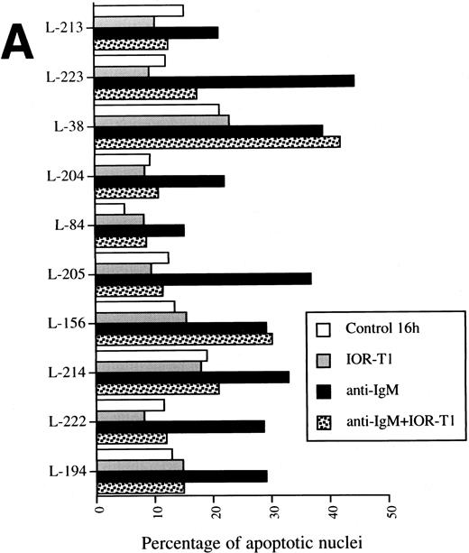 Fig. 2. Anti-CD6 effect on anti-IgM– (A) or GCC-induced apoptosis (B). B-CLL cells 2 × 106/mL were incubated for 16 hours in RAM-Ig–coated 24-well plates with medium, anti-IgM, IOR-T1, or Dex, alone or in combination. The percentage of apoptotic nuclei was determined using Hoechst staining.