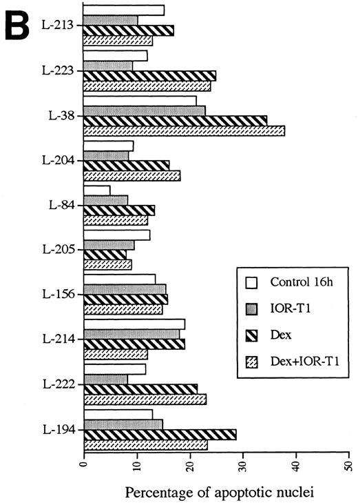 Fig. 2. Anti-CD6 effect on anti-IgM– (A) or GCC-induced apoptosis (B). B-CLL cells 2 × 106/mL were incubated for 16 hours in RAM-Ig–coated 24-well plates with medium, anti-IgM, IOR-T1, or Dex, alone or in combination. The percentage of apoptotic nuclei was determined using Hoechst staining.