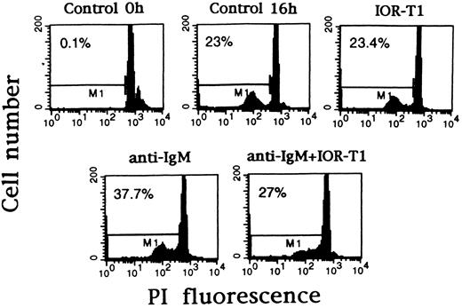 Fig. 3. Anti-CD6 can prevent B-CLL cells from anti-IgM–induced DNA fragmentation. B-CLL cells from patient L-204 were incubated in RAM-Ig–coated 24-well plates with medium, anti-IgM, and/or IOR-T1. DNA fragmentation was determined after 16 hours using PI staining and FACS analysis. The percentage of apoptotic nuclei corresponding to M1 marker is in the left corner of each panel.