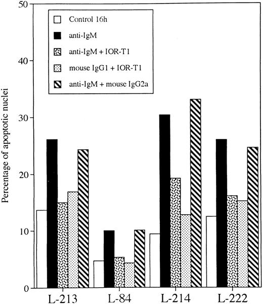 Fig. 4. Anti-IgM– and IOR-T1-induced effects are not mediated by Fc receptor. B-CLL cells 2 × 106/mL were incubated for 16 hours in RAM-Ig–coated 24-well plates with medium, anti-IgM, IOR-T1, mouse IgG2a, or mouse IgG1 MoAbs in combination as indicated. The percentage of apoptotic nuclei was determined using Hoechst staining.
