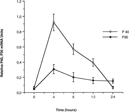 Fig. 2. Kinetics of IL-12 p35 and p40 mRNA accumulation in monocytes. Monocyte-enriched adherent cells were cultured with SAC. Cells were harvested for mRNA assay at various times after the beginning of the culture. mRNA is expressed as normalized femtograms of IL-12 p35 and IL-12 p40 cDNA. For normalization, the IL-12 p35 and p40 mRNA amount in femtograms was divided by femtograms of GAPDH. Each point plotted represents the mean ± standard error of mean (SEM) of quadruplicate culture samples. This experience is representative of three independent experiments.