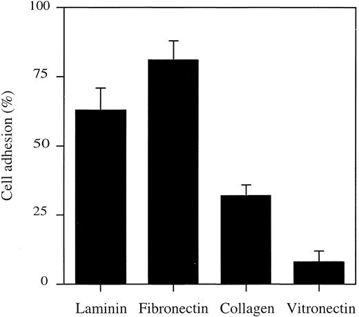 Fig. 1. Adhesion of HMC-1 cells to various extracellular matrix proteins. Wells in 96-well plates were coated with different extracellular matrix proteins at 10 μg/mL. HMC-1 cells were added, and the plates were incubated for 1 hour at 37°C. Plates were gently washed, and the number of adherent cells was determined by measurement of the endogenous hexosaminidase. Adhesion is expressed as the percentage of the total number of cells seeded, corrected for spontaneous adhesion. Data represent the mean ± SD of three experiments performed in triplicate (total n = 9). Spontaneous adhesion to BSA-coated wells was less than 5%.