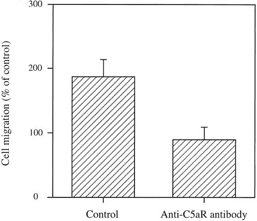 Fig. 3. Inhibition of mast cell migration to C5a by an anticomplement receptor MoAb. HMC-1 cells were incubated for 90 minutes with the anti-C5a receptor MoAb S5/1 at 5 × 10−7 mol/L. Cells were then washed and migration to 0.1 μg/mL (10 nmol/L) C5a was examined in Boyden chambers. Results are expressed as mean ± SEM of 2 to 10 experiments performed in triplicate (total n = 6 to 10). No migration was observed when cells were stimulated with MoAbs alone.