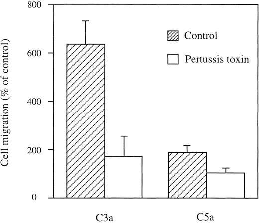 Fig. 4. C3a and C5a stimulate migration of HMC-1 cells via a pertussis toxin-sensitive G protein. After treatment of HMC-1 cells with pertussitoxin at 2 μg/mL for 90 minutes, cells were stimulated with C3a (1 μg/mL, 100 nmol/L) and C5a (0.1 μg/mL, 10 nmol/L) in Boyden chambers. Results are expressed as mean ± SEM of 3 to 13 experiments (n = 3 to 13).