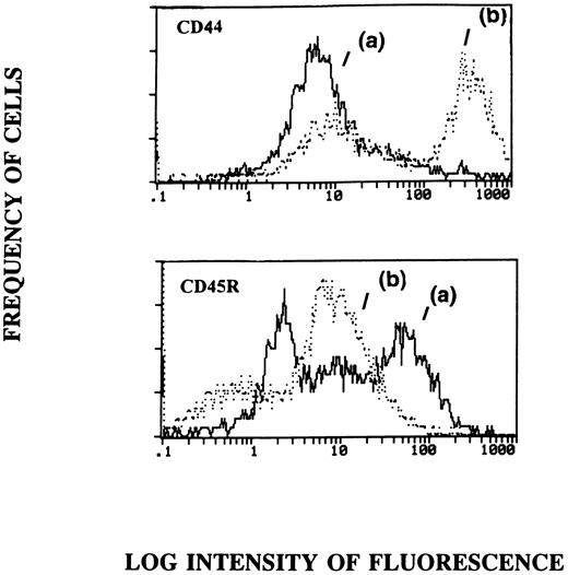 Fig. 7. Stimulation with HA triggers B-cell differentiation. Splenic B cells or whole spleen cells were cultured in the presence of HA (0.1 mg/mL) for (a) 24 or (b) 120 hours. The cells were harvested and splenic B cells were stained for the expression of CD44 and whole spleen cells were stained for CD45R using flow cytometry. The two histograms were overlayed for comparison. The mean channel number suggestive of the intensity of fluorescence for the histograms was as follows: CD44 (a) = 13.7, CD44 (b) = 85.9; CD45R (a) = 13.9, CD45R (b) = 7.09.