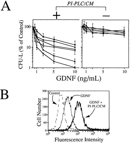 Fig. 7. (A) Effects of GDNF alone (right panel) or in association with a fixed concentration (10% vol/vol) of conditioned medium derived from stromal cells exposed to PI-PLC (PI-PLC/CM; left panel) on clonogenic growth of blast cells derived from 6 RET-expressing AML samples. T-cell–depleted leukemic blasts (1.0 × 105) were resuspended in 1 mL of IMDM containing 20% FCS and 0.8% methylcellulose and cultured in 100-μL aliquots in 96-well flat-bottomed microplates in the presence of increasing concentrations (0.5 to 10 ng/mL) of GDNF. Freshly prepared BMSC-derived PI-PLC/CM was added to semisolid medium (10% vol/vol) immediately before plating. After 7 days of incubation, aggregates with ≥40 cells were scored as colonies. Results are expressed as mean ± SEM of 6 to 8 replicates. (B) Fluorescence histograms showing the expression of membrane-associated GDNF/soluble GDNF receptors complexes by primary RET-expressing AML cells. Cells were exposed for 1 hour at 37°C to GDNF alone (100 μg/mL) or to a combination of GDNF and BMSC-derived PI-PLC/CM and then sequentially with chicken polyclonal antihuman GDNF (100 μg/mL) and rabbit fluorescein isothiocyanate-conjugated isotype-matched antichicken Igs. As controls, isotype-matched irrelevant chicken Igs were used.