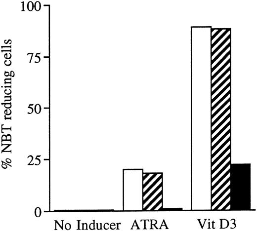 Fig. 1. Effects of oligonucleotides on ATRA or Vit D3-induced monocytic differentiation in wild-type U-937 cells assayed by the cells' capacity to reduce NBT. Cells at an initial concentration of 0.2 × 106 cells/mL were preincubated for 24 hours with phosphorothioate-modified oligonucleotides at a concentration of 50 μmol/L. Cells were then induced with ATRA or Vit D3 at 1 μmol/L and 0.1 μmol/L, respectively. After 4 days of induction in the continuous presence of (▪) antisense RB oligonucleotides, (▨) sense RB oligonucleotides, or (□) oligo buffer, respectively, cells were subjected to NBT reduction test. As controls, noninduced cells were incubated with antisense RB oligonucleotides, sense RB oligonucleotides, or oligo buffer, respectively. The percentage of NBT reducing cells was determined by counting 200 cells. Results are shown from one representative experiment.