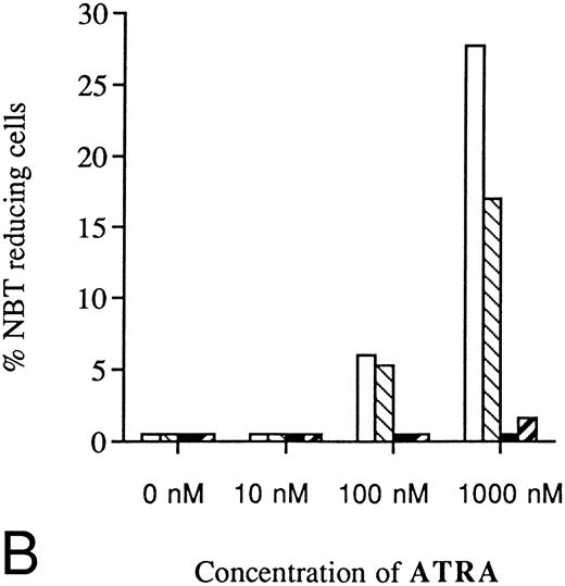 Fig. 9. Inhibited induction of differentiation by ATRA or Vit D3 in RB-transfected U-937 cells as compared with mock-transfected cells. Cells (0.2 × 106 /mL) of the RB-transfected clones (▪) B3 and (▨) B4, both stably overexpressing pRb, as well as mock-transfected clones (□) M2 and (▧) M6 were incubated with ATRA (A) or Vit D3 (B) at concentrations ranging from 0 to 1,000 nmol/L 4 days followed by an NBT-reducing test. Two hundred cells from each clone were counted and the percentage of cells containing reduced NBT was determined. Results shown are mean values from three separate experiments.