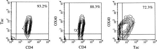 Fig. 1. Two-color flow cytometric analysis of PBMC from case no. 13. Cells were first incubated with FITC-Leu3 (CD4) and biotin-anti–Tac (left), FITC-Leu3 and biotin-315 (OX40) (center), or FITC-anti–Tac and biotin-315 (OX40) (right), washed, and then incubated with PE-conjugated streptavidin. Samples were analyzed using a FACScan.